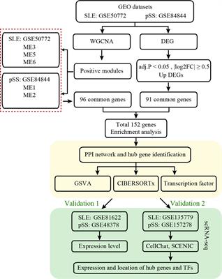 Exploring the shared molecular mechanisms between systemic lupus erythematosus and primary Sjögren’s syndrome based on integrated bioinformatics and single-cell RNA-seq analysis